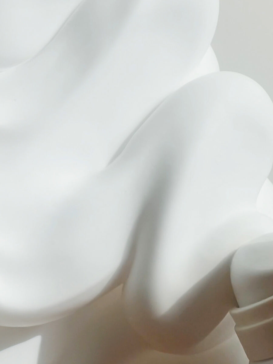 Healthy Aging Shower Foam