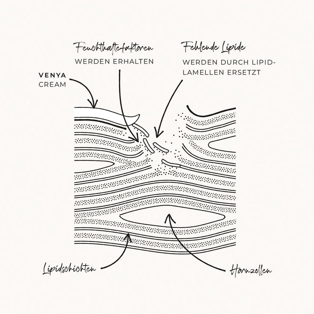 Abbildung Lipid-Lamellen-Technologie; Feuchtigkeit für die Haut; Feuchtigkeitsspeicher